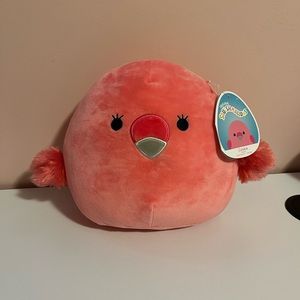 8” Cookie Squishmallow!